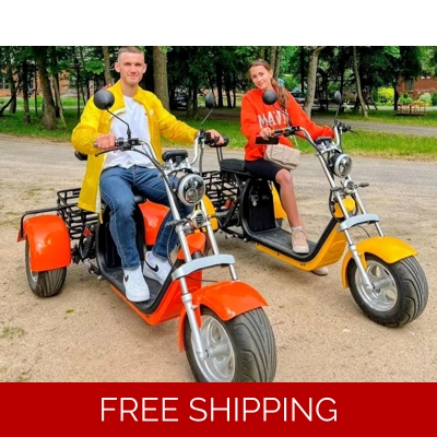 2000w Trike Smart 3 Wheel Citycoco Motorcycle long range